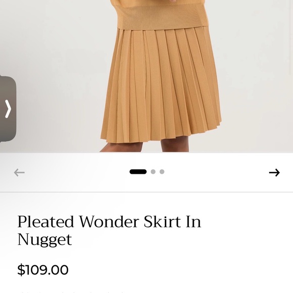 Aleeza Paris Dresses & Skirts - Aleeza Paris Pleated Wonder Skirt In Nugget Carmel Color XL 25 Long Stretch New